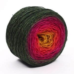 Clisil 500g Rainbow Soft 100% Wool Yarn Gradient Multi