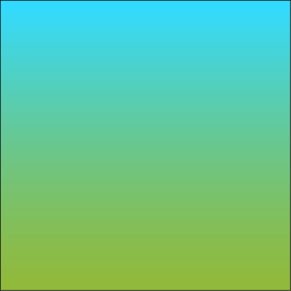 27 ZOLI - gradient - Image 3