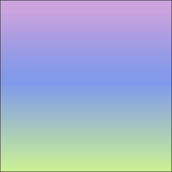 07 LOLKA - GRADIENT - Image 3