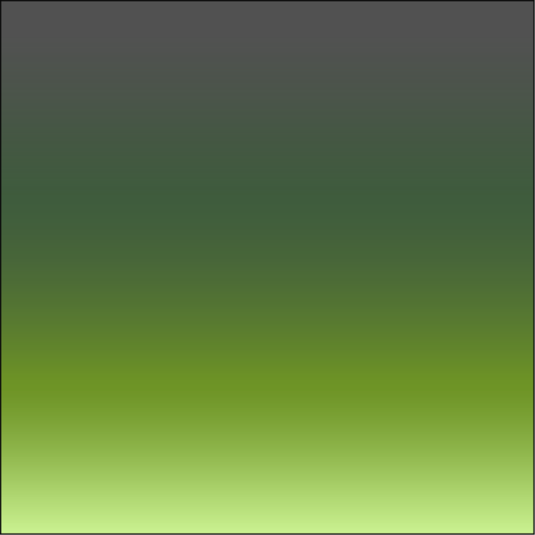 09 LEÓ - GRADIENT - Image 3