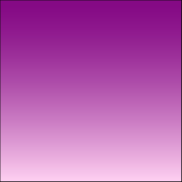 23 BORI - gradient - Image 3
