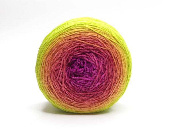 LOLI - hand dyed gradient yarn - 100g ball - merino wool - 123 Luca - Image 2