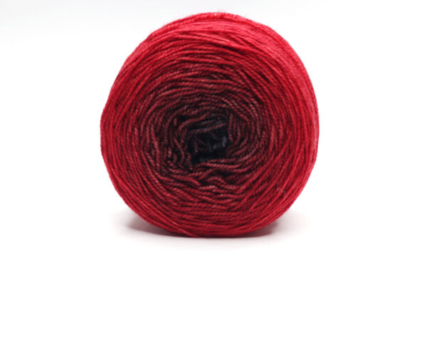 10 BEA - GRADIENT - Image 5