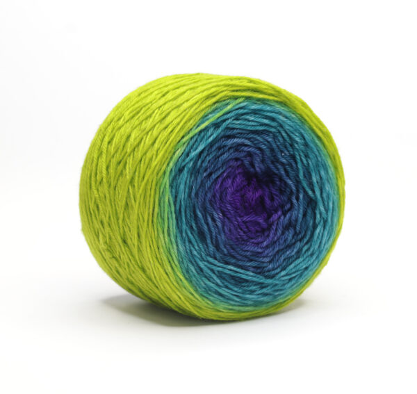 324 LOLA - hand dyed gradient yarn - Image 3