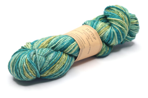TUPTUP - hand dyed yarn - merino "repeat gradient" - H09 Herbal Garden - Image 2