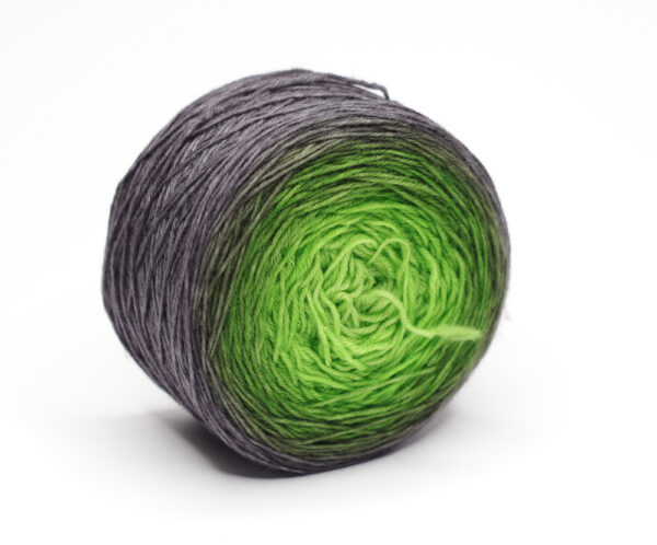 LOLI - hand dyed gradient yarn - 100g ball - merino wool - 09 Leó