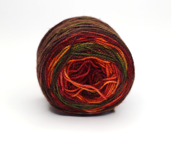 SNEK - hand dyed repeat gradient yarn - 50g - merino wool - H03 Autumn Leaves - Image 2