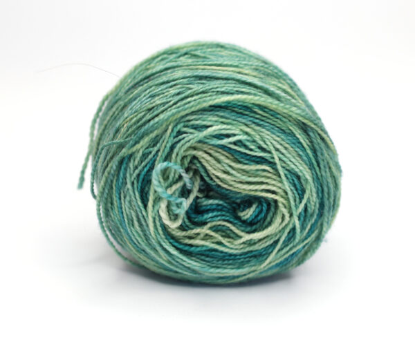SNEK - hand dyed repeat gradient yarn - 50g - merino wool - H09 Herbal Garden - Image 3