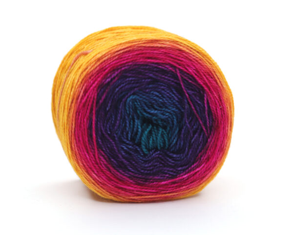 SNEK - hand dyed gradient yarn - merino wool - 24 Elena