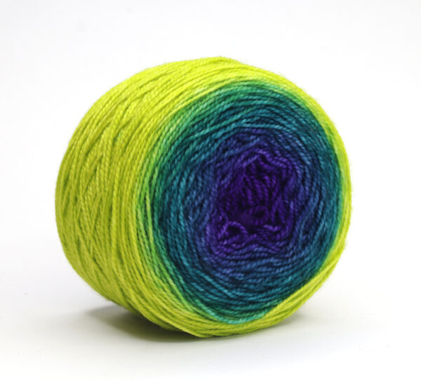SNEK - hand dyed gradient yarn - merino wool - 324 Lola