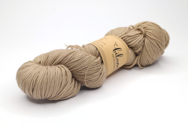 ROKROK - hand dyed semisolid yarn - 120g - merino wool - 241010 hazel