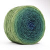 TUPTUP - hand dyed gradient yarn 230g - merino wool - 331 SEBI - Image 2