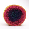TUPTUP - hand dyed gradient yarn 115g - merino wool - 24 ELENA