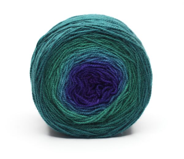 SNEK - hand dyed gradient yarn - merino wool - 250602 (OOAK) - Image 4