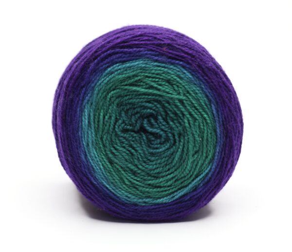 SNEK - hand dyed gradient yarn - merino wool - 250602 (OOAK) - Image 3