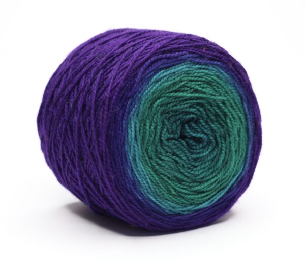SNEK - hand dyed gradient yarn - merino wool - 250602 (OOAK)