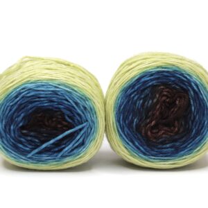 SOK - hand dyed gradient yarn for socks - 2x50g - 251 Borisz